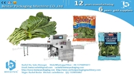 Vegetable tray wrapping machine, vegetable workshop actual case