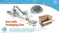 Automatic weighing and filling box packaging line for 4-10KG hardware nails
