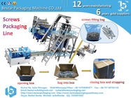 10KG per carton weighing packaging machine, automatic carton opening, filling and sealing