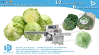 Greens cabbage leafy pouch packaging horizontal servo packing machine