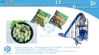 Mixing salad leafy vegetables automatic weighing and pouch packaging machine