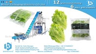 Leafy greens salad 100g pouch automatic weighing and packing machine