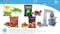 500g granular food snack pouch weighing and packaging machine BSTV-550AZ