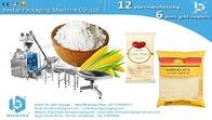 Corn flour powder packing machine for 400g pouch BSTV-450DZ