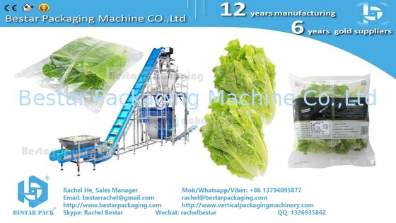 BSTV-350AZ All‑in‑One Type Packing Machine with 14-head Weigher for Sticky Cucumber Slices